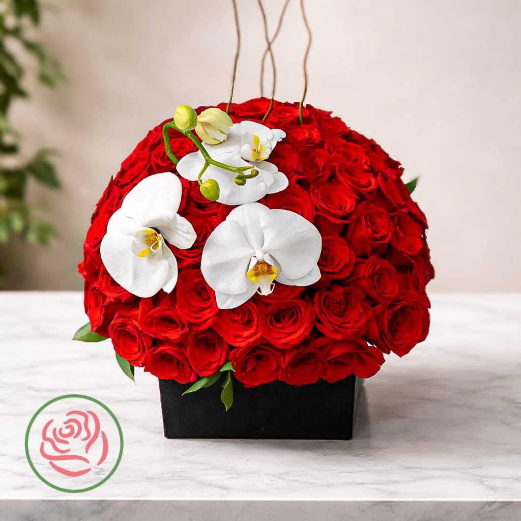 🌹 Elegancia Carmesí 1🌹