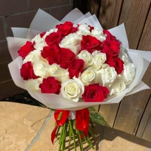 Amore Mío
